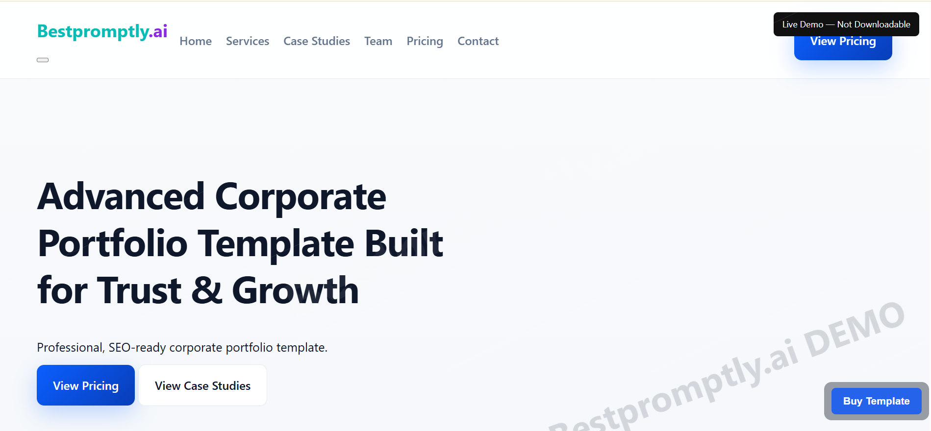 Corporate Portfolio Template